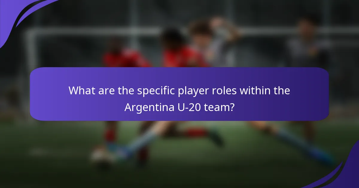 What are the specific player roles within the Argentina U-20 team?